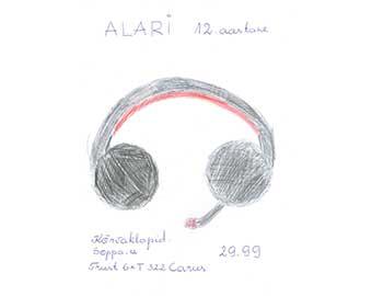 SEB Heategevusfond, Alari kink