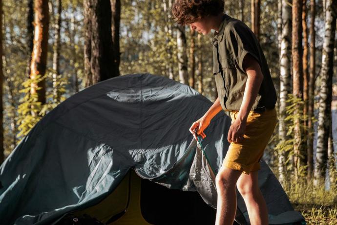 Poiss on telgiga metsas