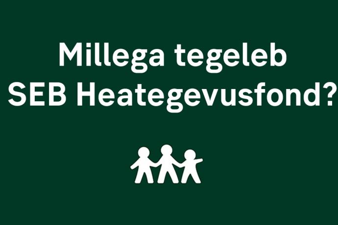 Millega tegeleb SEB Heategevusfond?