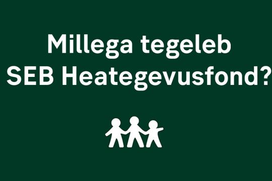 Millega tegeleb SEB Heategevusfond?